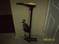 Click to view classifieds FRYEEAFG