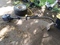 Click to view classifieds RLKXPMJH