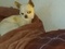 Click to view classifieds XKSWOWLA
