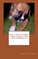 Click to view classifieds HEAJVGMW