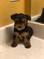 Click to view classifieds SHQOXHMR