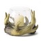 Click to view classifieds DRMJXLEX