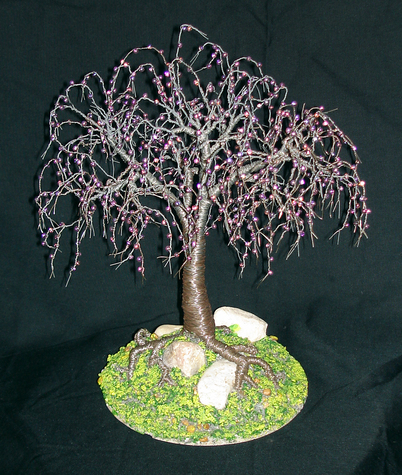 Steel Elm