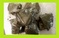 Click to view classifieds QEWBDEAV