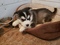 Click to view classifieds DSDFYEDW