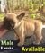Click to view classifieds VVQONCMP