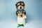Click to view classifieds JVPSHUAY