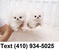 Click to view classifieds QTMRUURY
