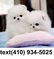 Click to view classifieds TJUDXTEU