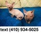 Click to view classifieds NHHAXKYF