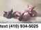 Click to view classifieds QOBLBMVV