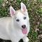 Click to view classifieds GEKQKFRG