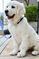 Click to view classifieds KSJSHYAD