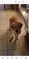 Click to view classifieds WUTRLNPH
