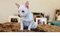 Click to view classifieds QWCTEBKU