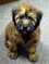Click to view classifieds VNXSBLYL