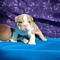 Click to view classifieds QENVNQJQ