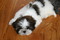 Click to view classifieds OTRDOJYJ