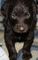 Click to view classifieds AWQDVKFS