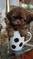 Click to view classifieds KKCVXBXA