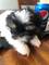Click to view classifieds XQKBMQHN