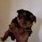 Click to view classifieds TXLFBQQF