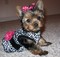 Click to view classifieds BREDJYGR