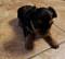 Click to view classifieds TFZDECAX