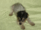 Click to view classifieds OBHCBYKJ