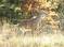 Click to view classifieds WBEPHPYU