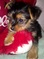 Click to view classifieds RSOZRUKA