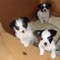 Click to view classifieds GNBPZRWM