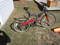 Click to view classifieds QUDXMPKH