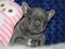 Click to view classifieds PKOPDAVX