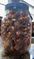 Click to view classifieds QXMWTASE
