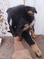 Click to view classifieds DQGKTPFT