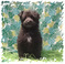 Click to view classifieds URAWJSCS