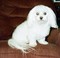 Click to view classifieds KTBRFOAG
