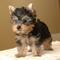Click to view classifieds QKZZQGVR
