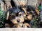 Click to view classifieds LUTMSOSK