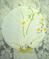 Click to view classifieds QVXDHMMR