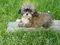 Click to view classifieds KTLMMZPT