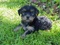Click to view classifieds CBHEJTXR
