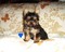 Click to view classifieds QWZMWRFD