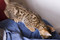 Click to view classifieds ZDANQTQN