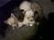 Click to view classifieds TQMPQCXV