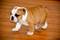 Click to view classifieds VTJLHUZJ