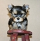 Click to view classifieds ADSXPOVS
