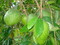 Click to view classifieds JPDOFYEP