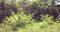 Click to view classifieds MTRPKDCX